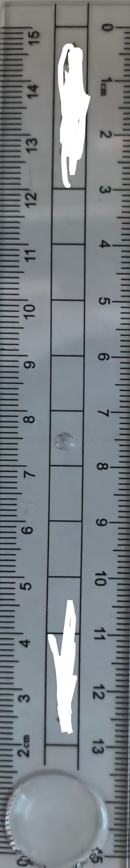 15cm_ruler_fromLocal